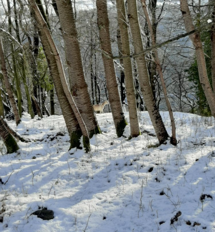 Heid des Gattes景点图片