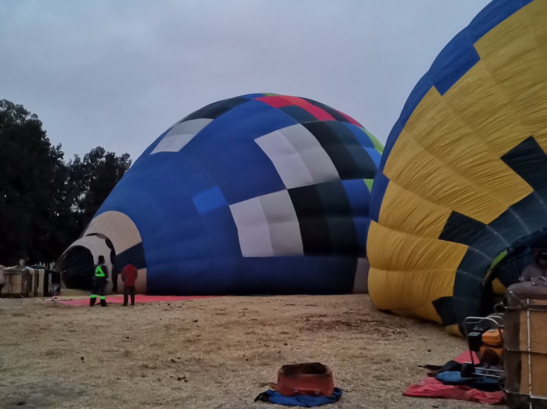 Excellence Mexico Tours-墨西哥城必去景点