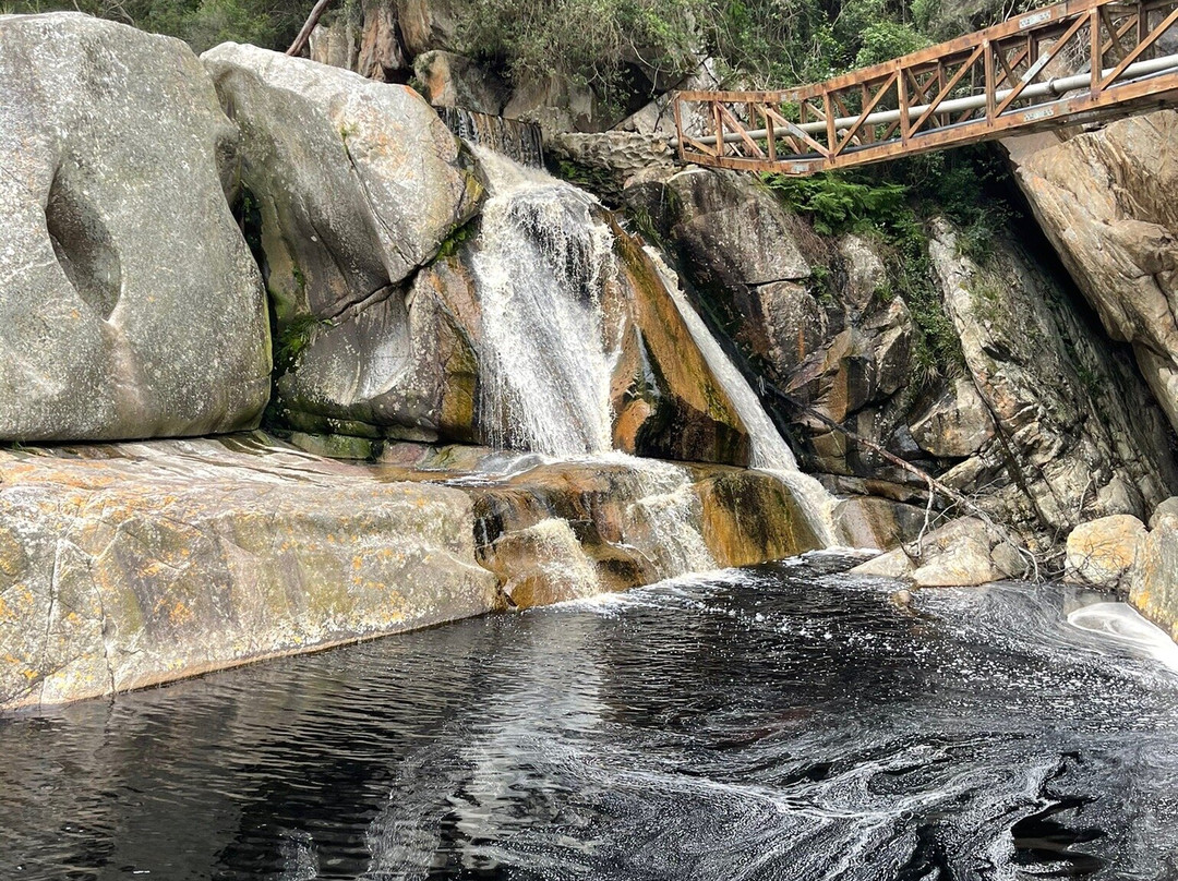 Half Collared Kingfisher Trail-荒野必去景点