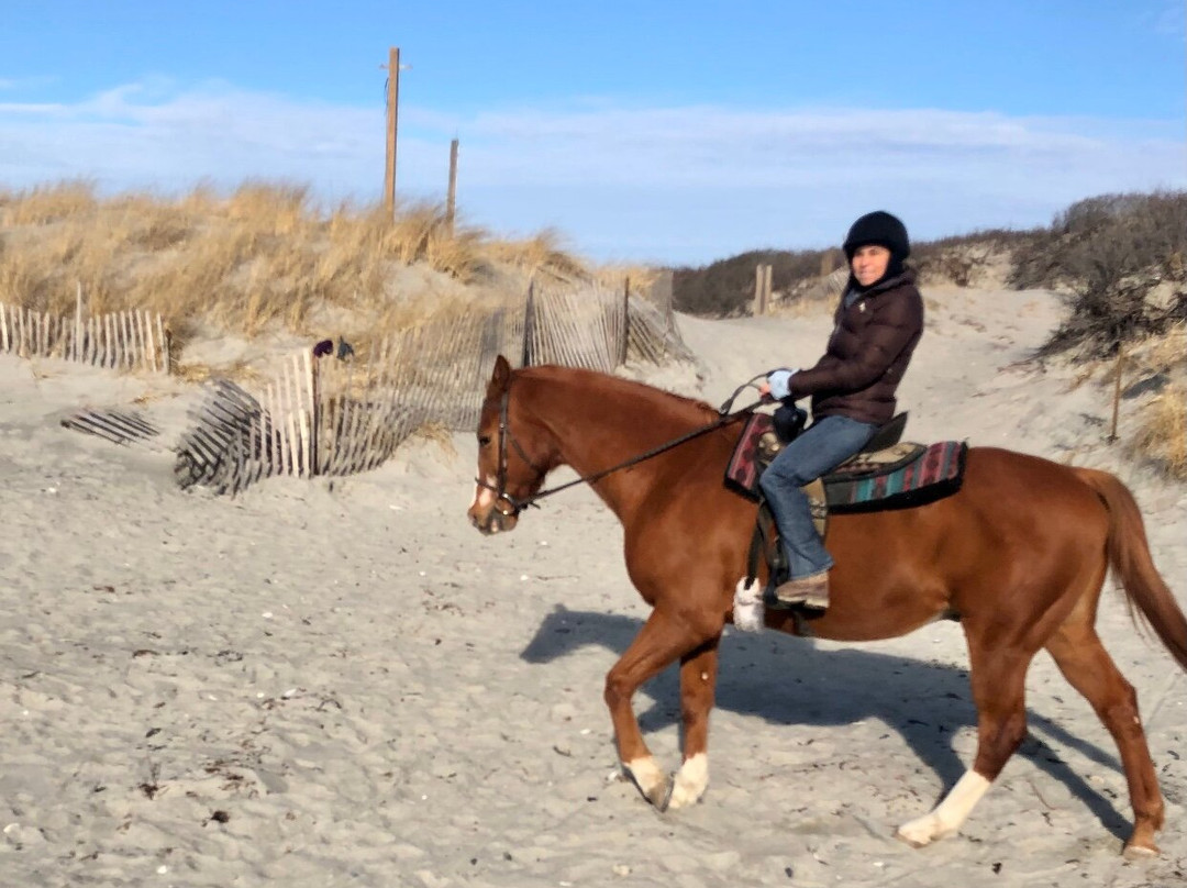 Newport Equestrian-米德尔敦必去景点