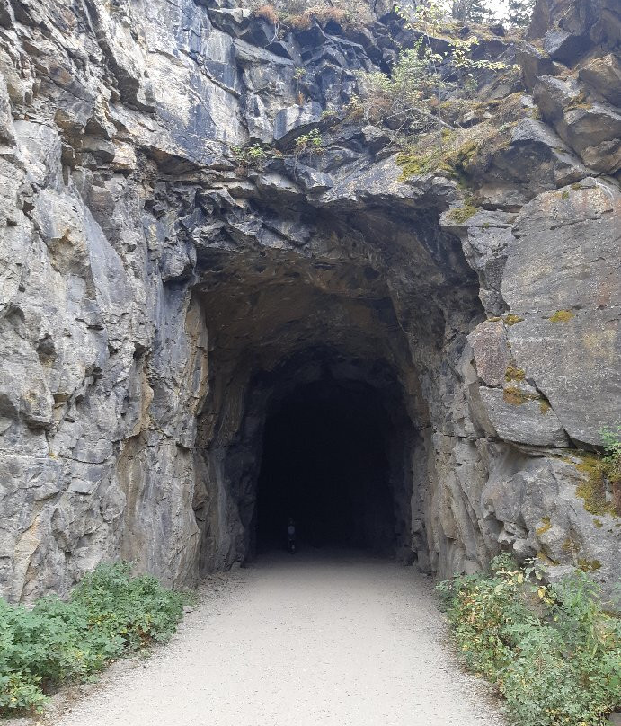 Myra Canyon Bicycle Rental And Tours景点图片