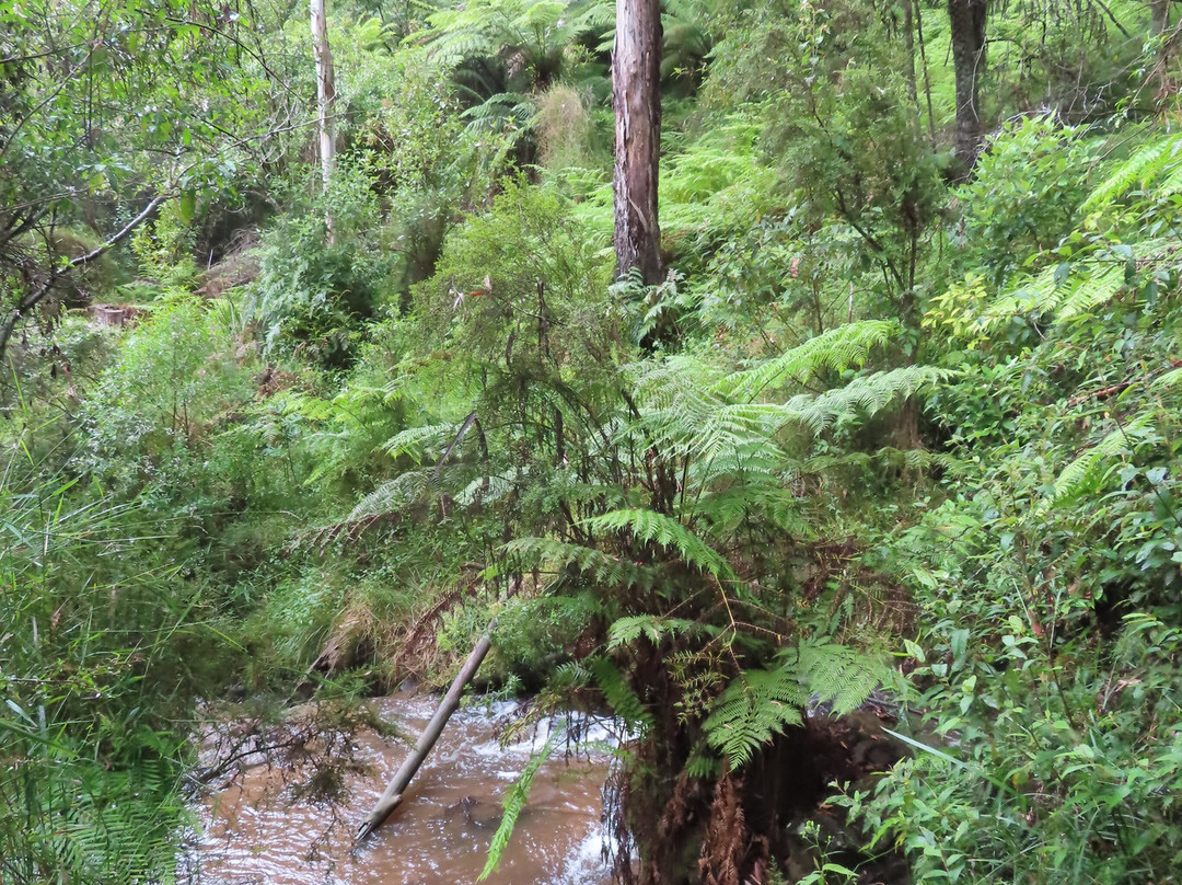 Olinda Falls-奥林达必去景点