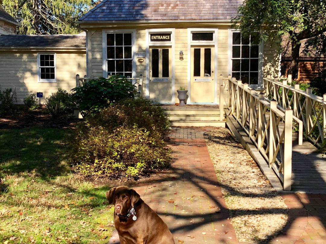 St. Michaels Museum-圣迈克必去景点