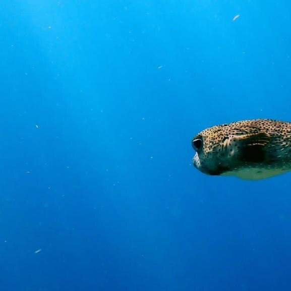 East End旅游攻略图片