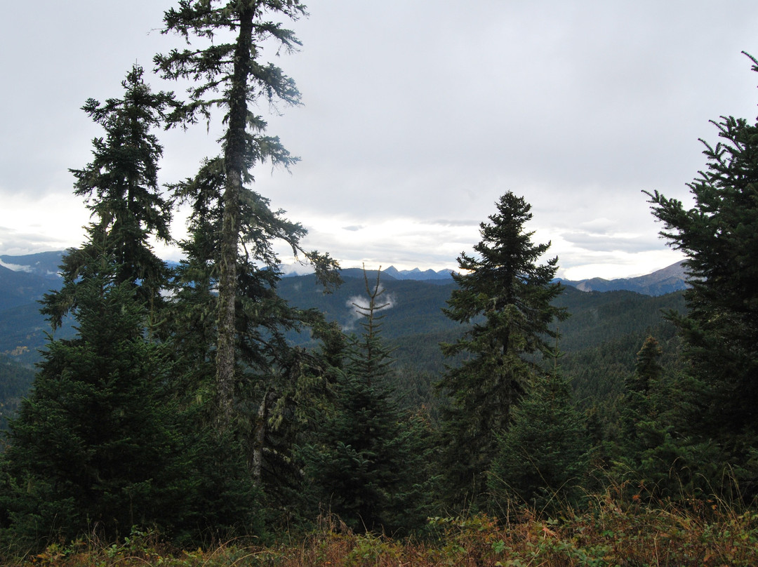 Elatos Resort & Health Club主图