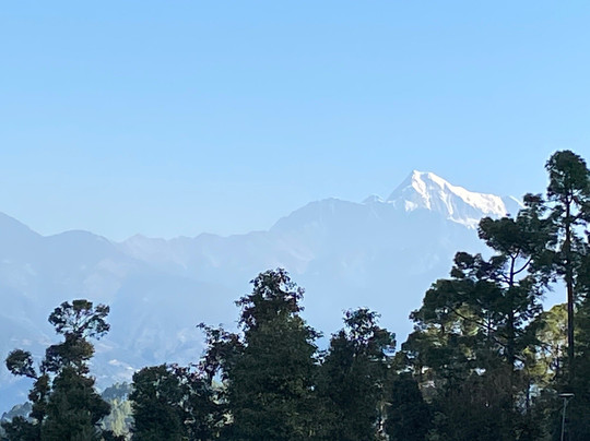 Nature's Treat Resort主图