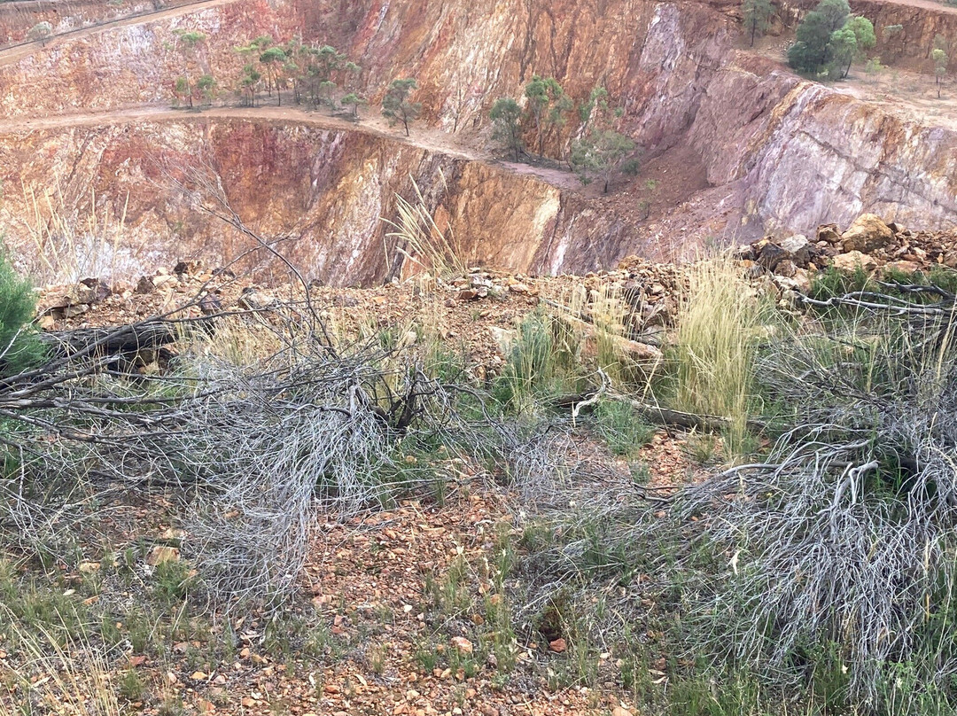 Peak Hill Open Cut Experience-Peak Hill必去景点