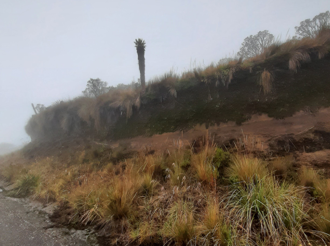 DESTINOS Y RUTAS DE COLOMBIA-Manizales必去景点