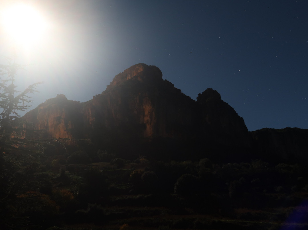 B&B Taccu Maccu主图