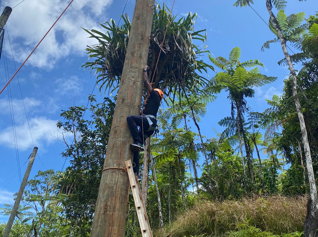 Kila Eco Adventure Park景点图片