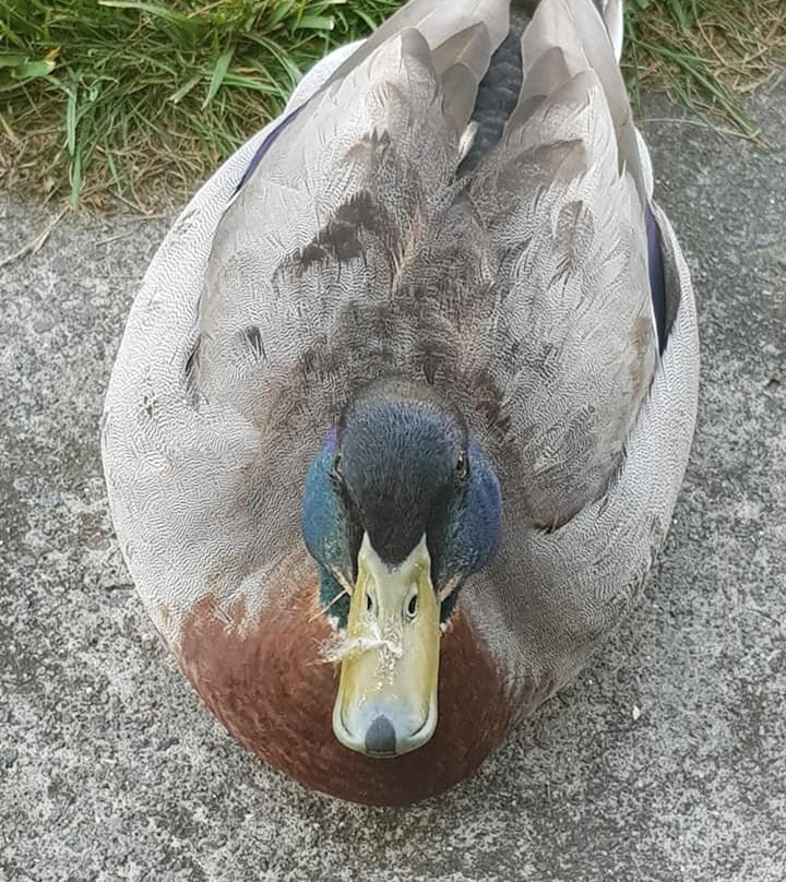 滨河汽车旅馆别墅主图