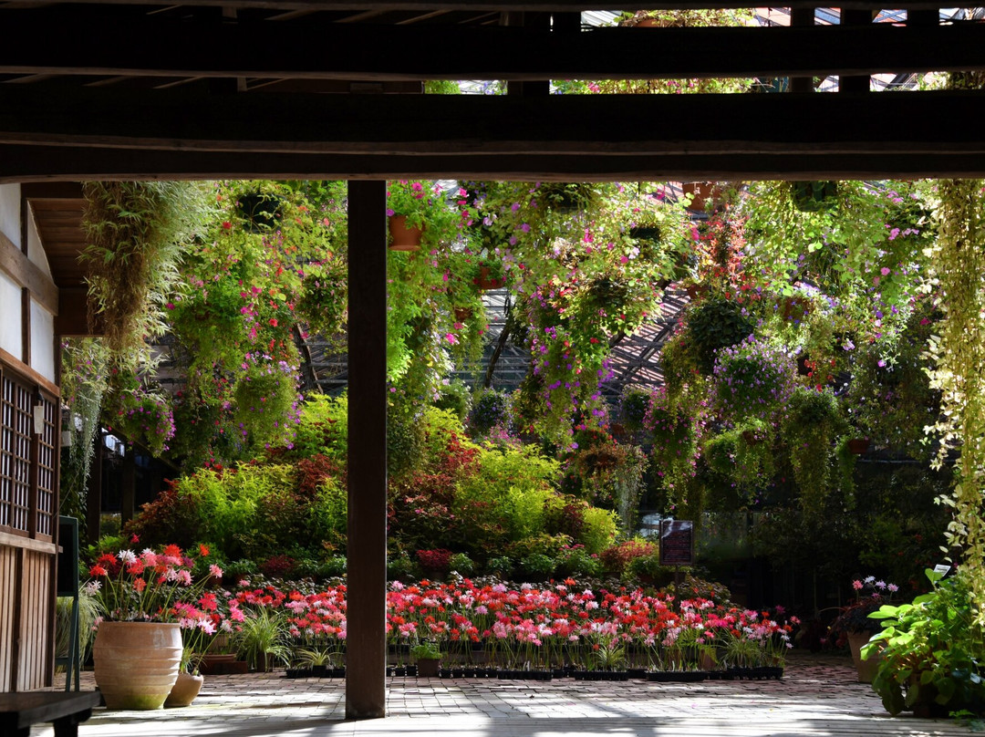 Kamoso Garden Park景点图片