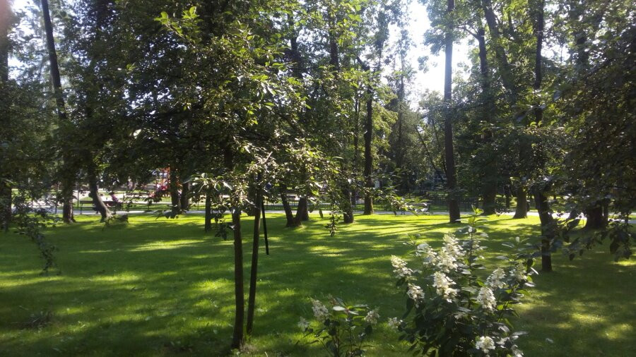 The City Park. Adam Mickiewicz