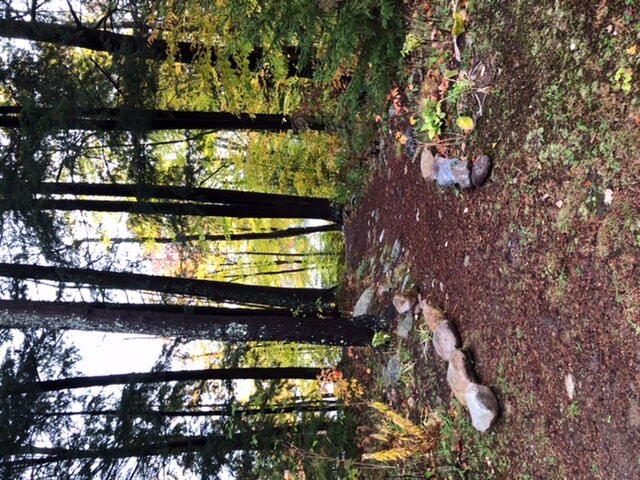 Inn at Water's Edge主图