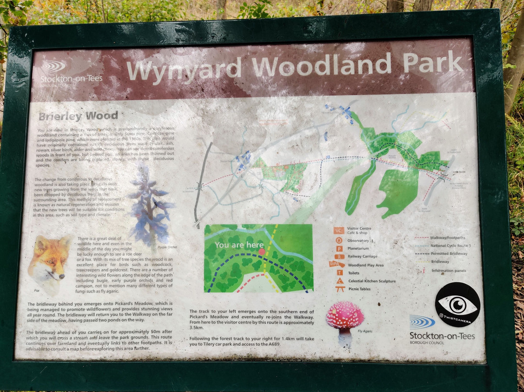 Wynyard Woodland Park景点图片