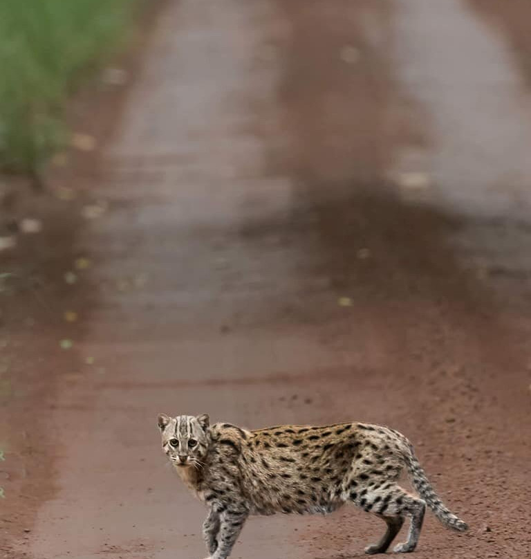 Dudhwa Fun Resort主图