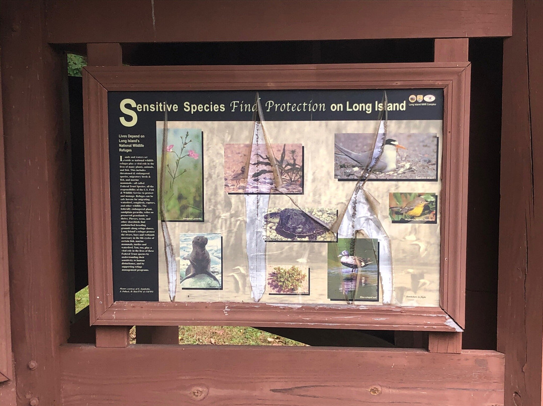 Target Rock National Wildlife Refuge-亨廷顿必去景点