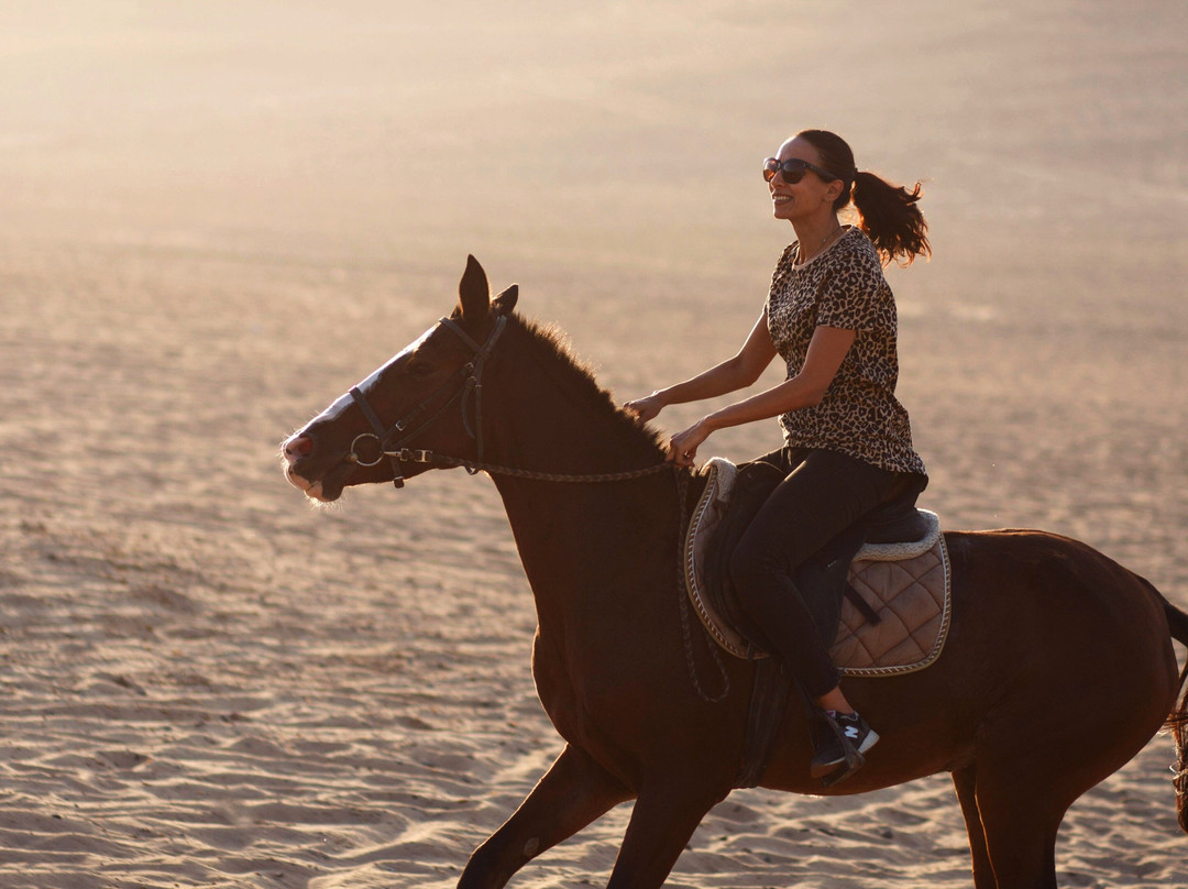 Egypt Horse Riding & Photography-开罗必去景点