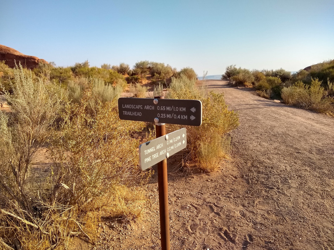 Pine Tree Arch Trail-拱门国家公园必去景点