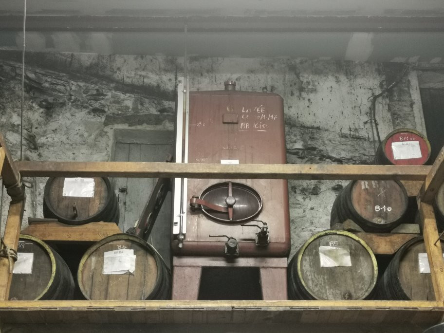 Domaine Berta Maillol景点图片