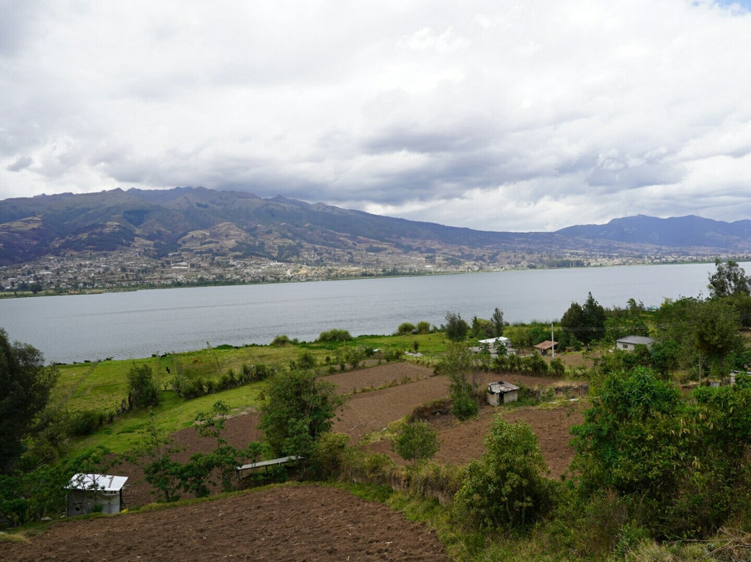 Volcan Cayambe-Cayambe必去景点