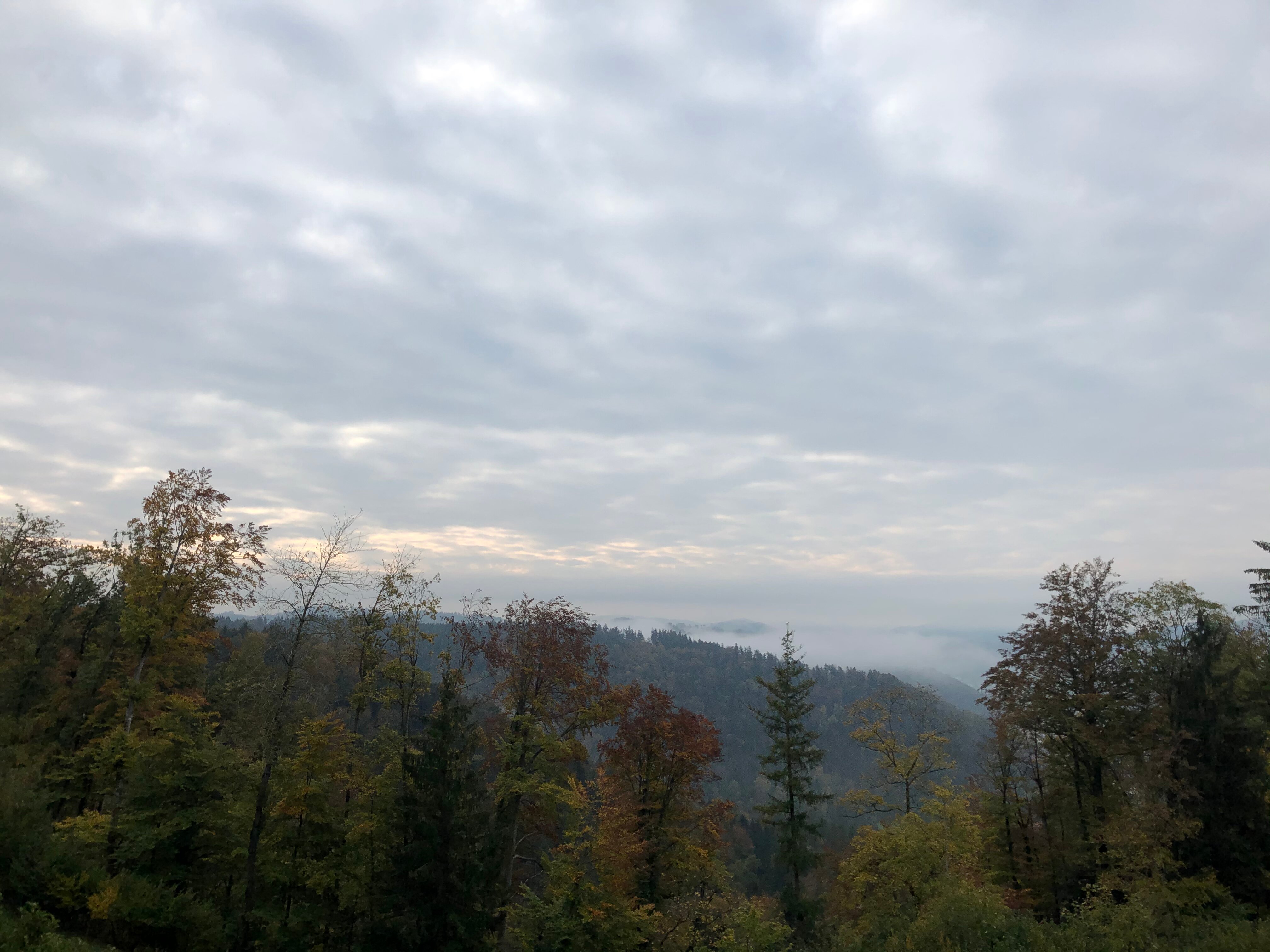 Gasthof Gyrenbad-官方