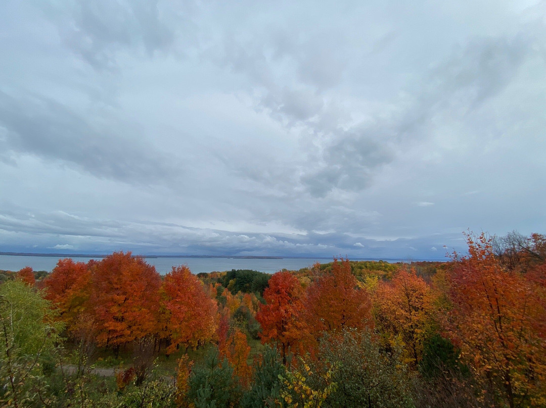 Suttons Bay Ciders景点图片