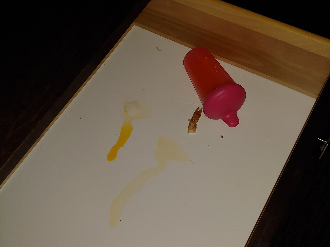 Quality Inn & Suites主图