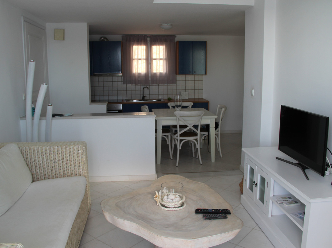 Grand Bleu Collection主图