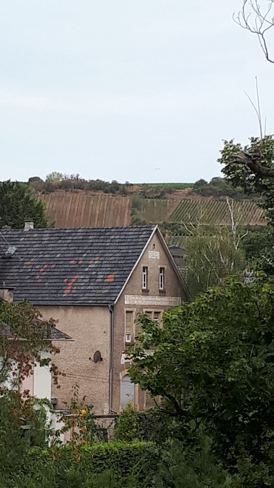 Best Western Wein-Und Parkhotel Nierstein-酒店景观
