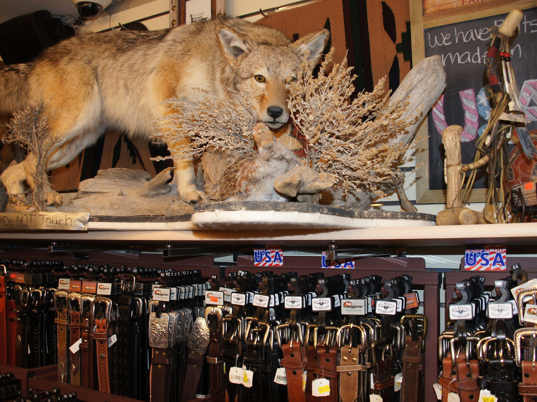Bryce Canyon Visitor Center-布莱斯峡谷国家公园必去景点