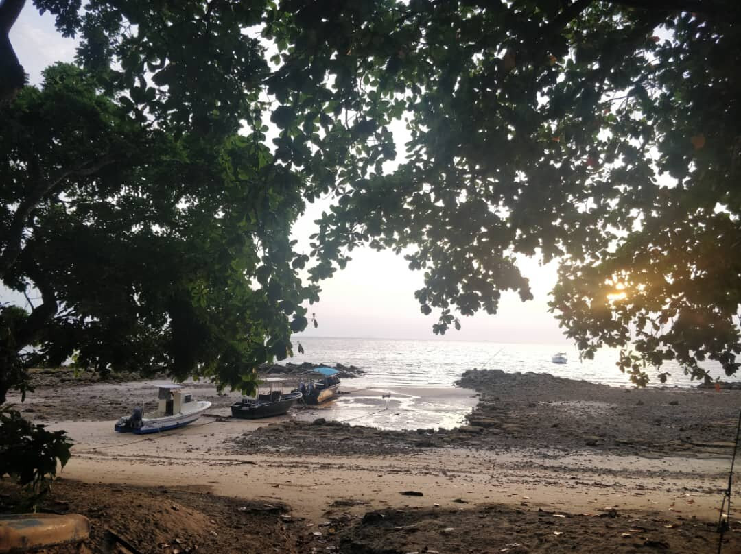 Bamboo Hill Chalets主图