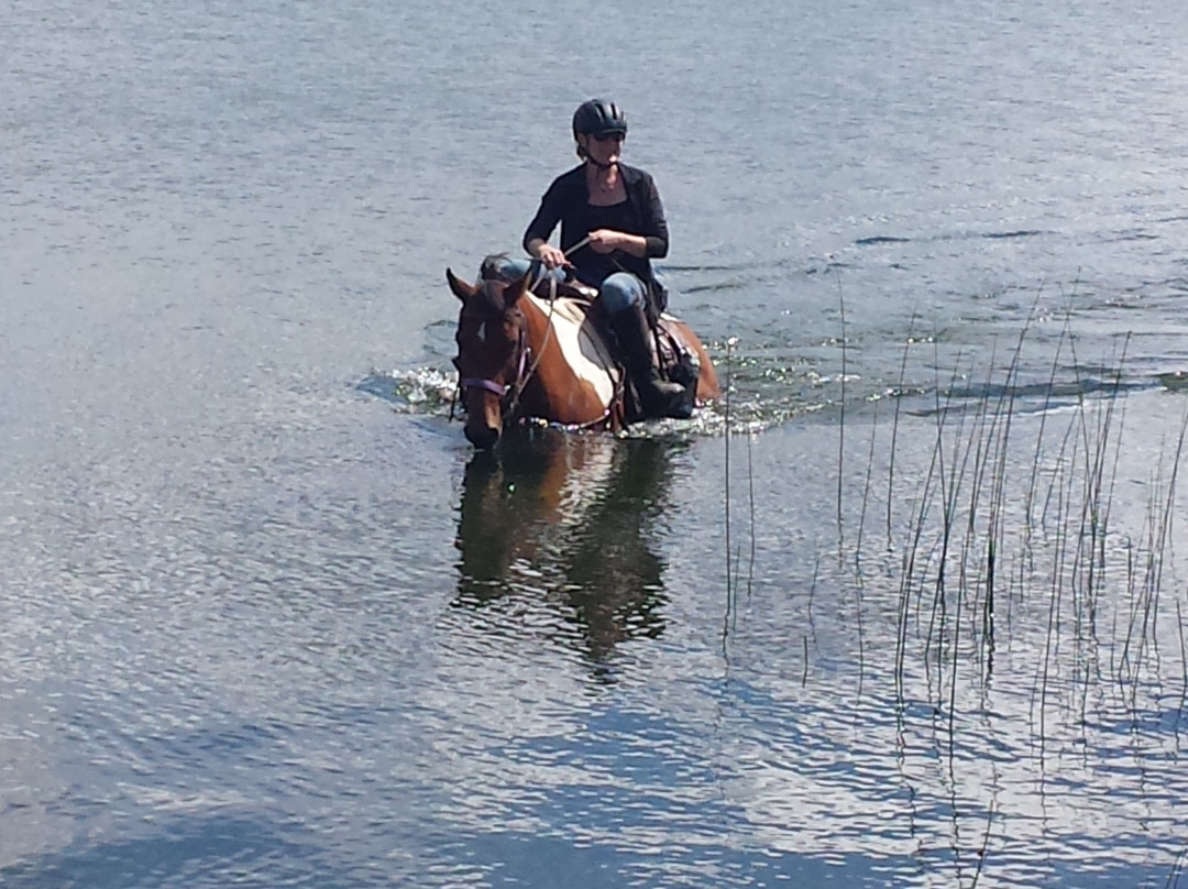 Graham Dunden Ranch Guest Ranch and B&B主图