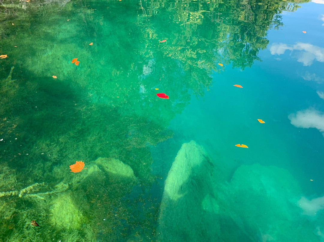Blue Water Park景点图片
