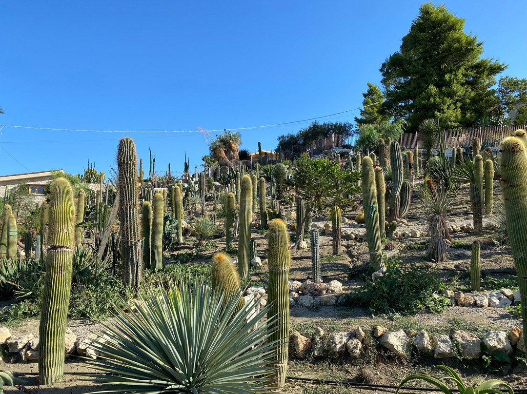 Garden Cactus - Relais, Suite de Charme and Botanical Park主图