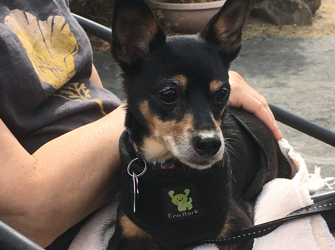 The Rellik Winery-Central Point必去景点