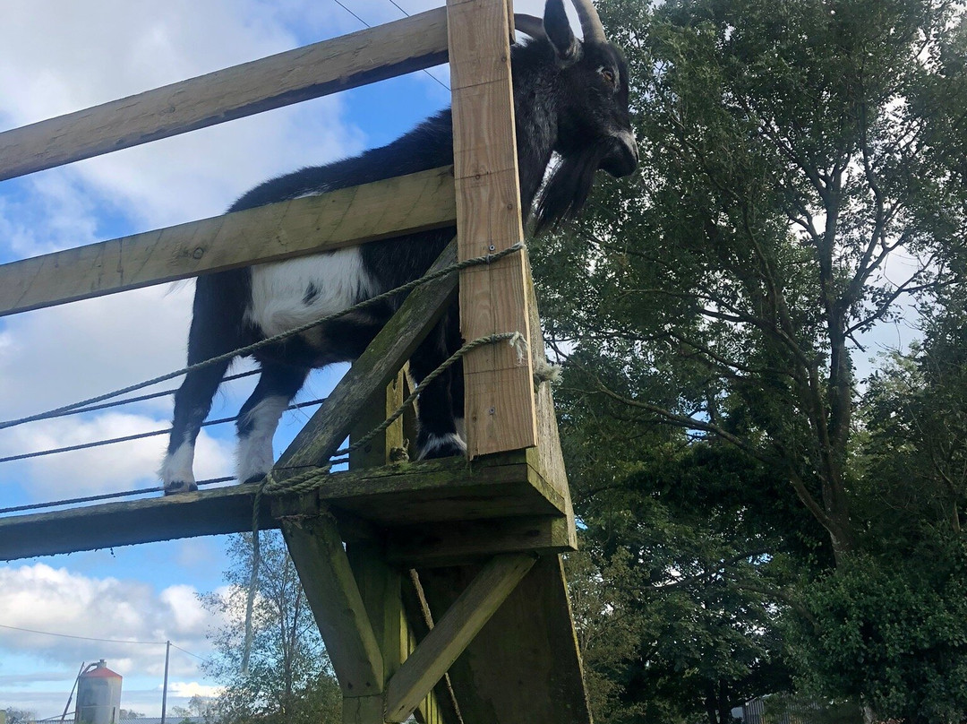 Away From It All主图