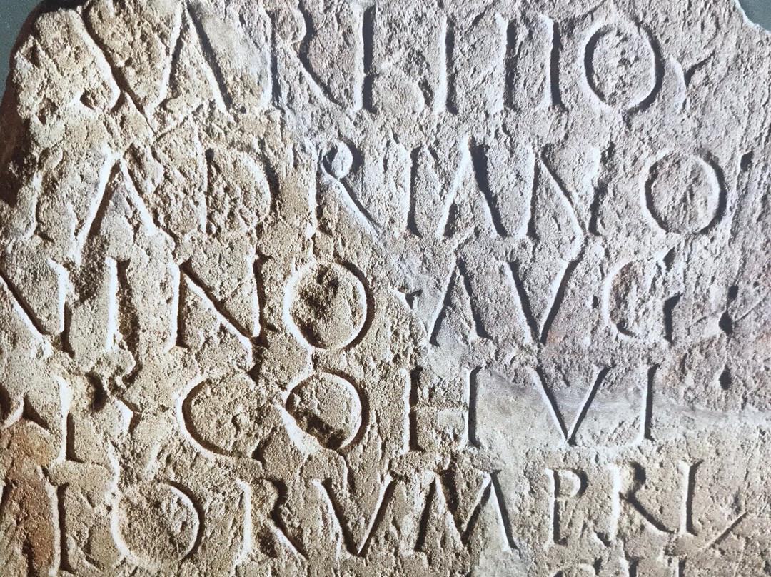 Antonine Roman Wall-福尔柯克必去景点
