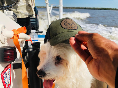 La Vita e' Bella- Marco Eco Tours-马可岛必去景点