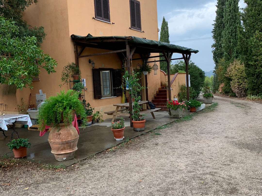 Giuncarico旅游攻略图片