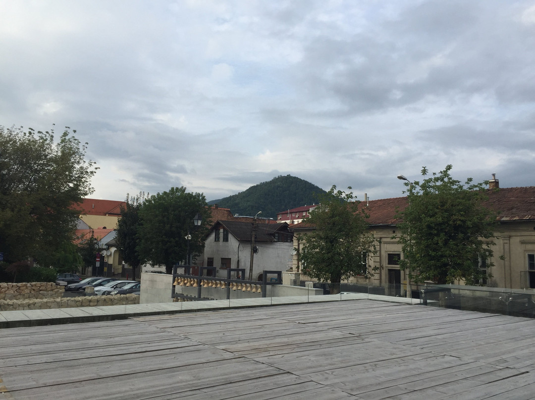 Piata Cetatii景点图片