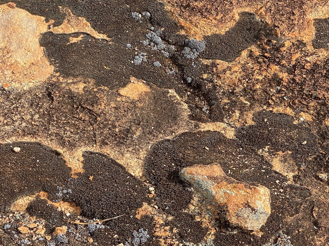 Njaki Njaki Aboriginal Cultural Tours-Merredin必去景点