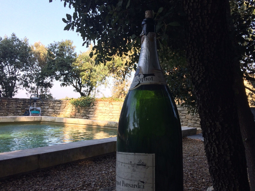 Bacchus en Luberon主图