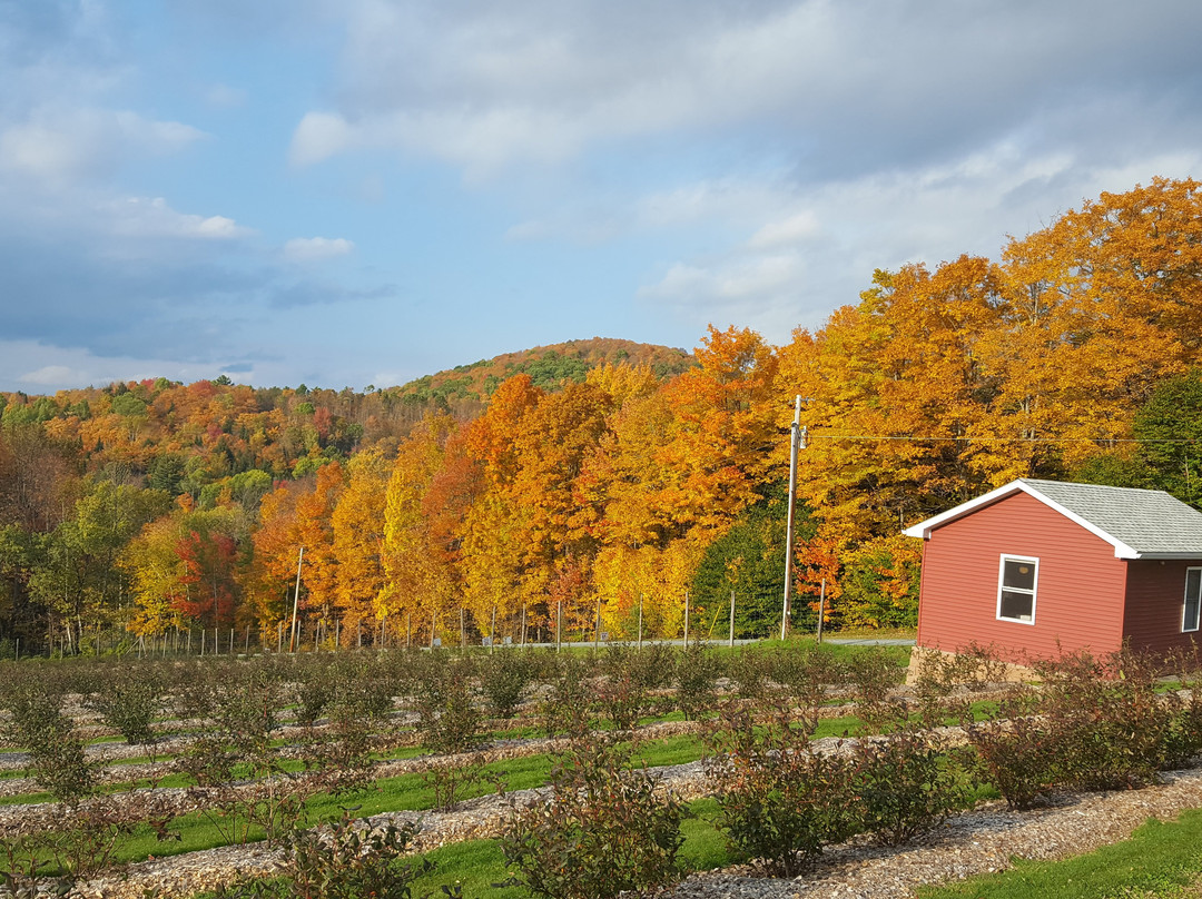 Sweet Seasons Farm景点图片