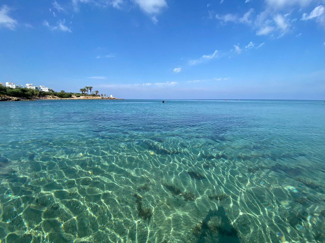 Sirena Bay-帕拉林尼必去景点