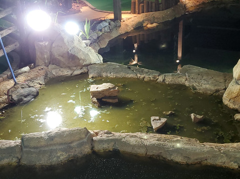 Lava Links Golf Club-D'Iberville必去景点