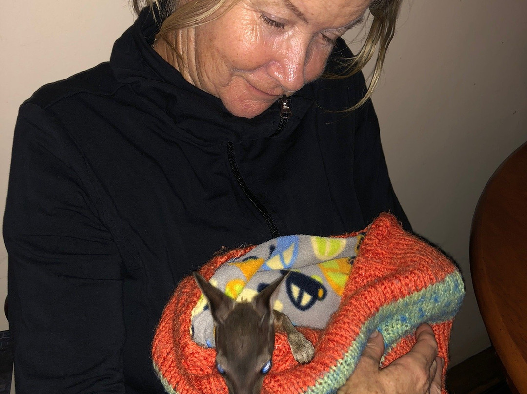 Nina's Ark Wildlife Sanctuary景点图片