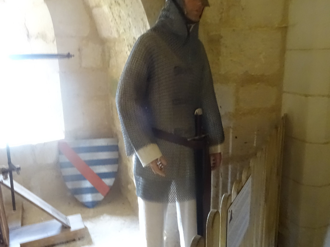 Chateau de Coudray-Salbart景点图片