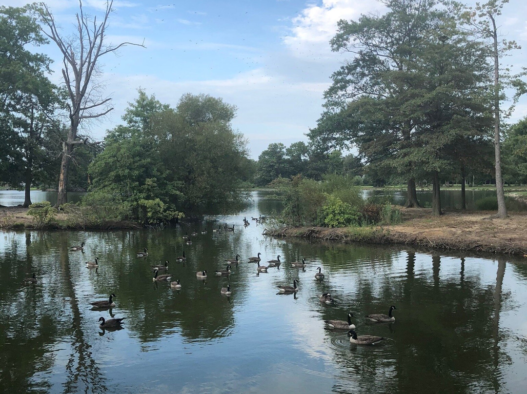 Riverview Beach Park景点图片