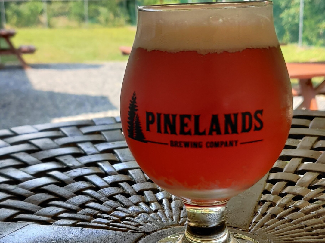 Pinelands Brewing Company景点图片